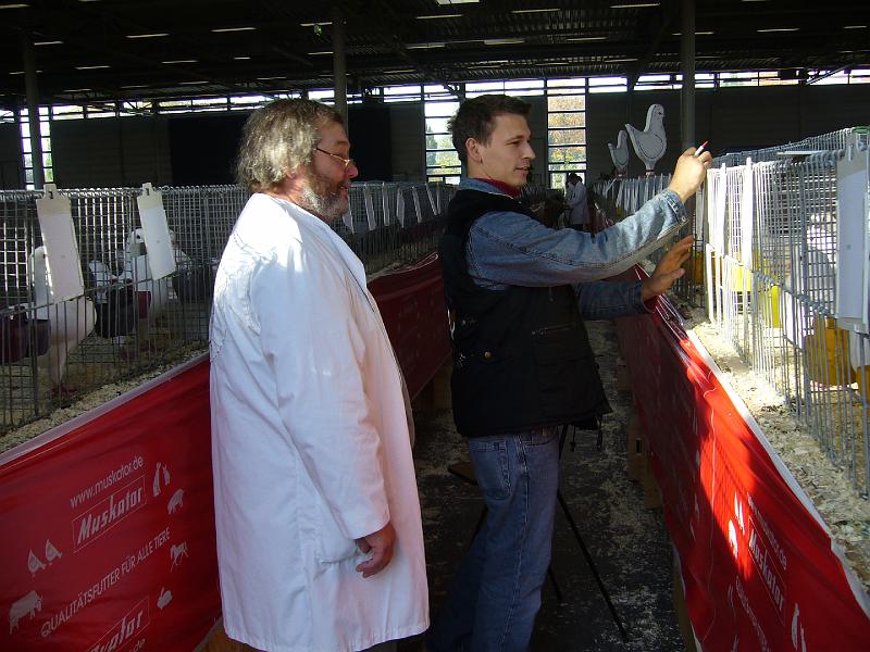 Muenster 2008 012.jpg - Die Preisrichter geben sich mühe um die Tiere richtig zu benoten